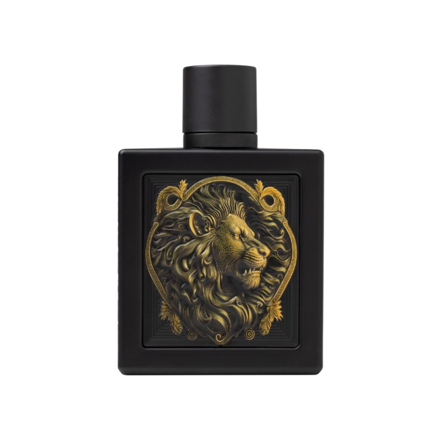 Rayhaan Lion - Probe