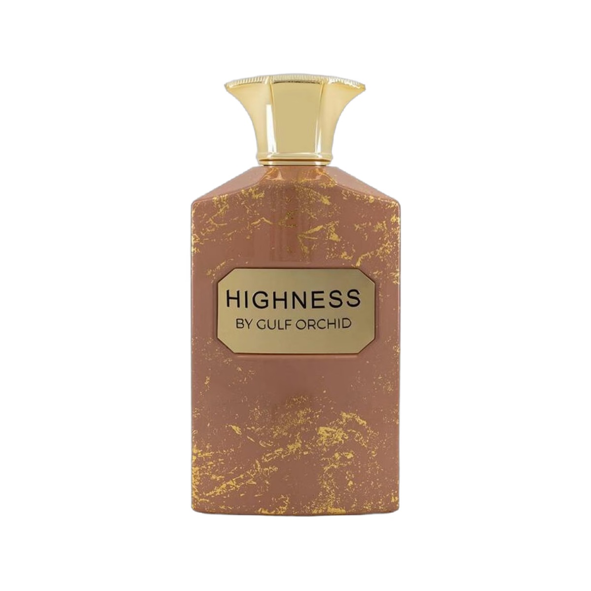 Gulf Orchid Highness - Probe
