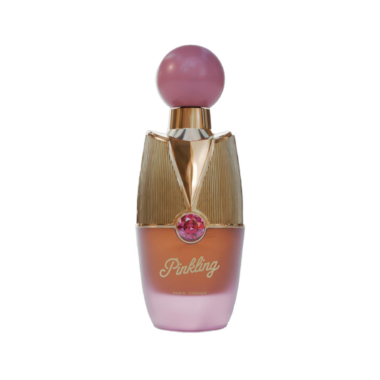 Paris Corner Pinkling - Probe